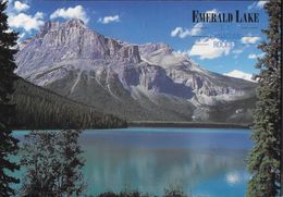 CANADA - EMERALDE LAKE - YOHO NATIONAL PARK - VIAGGIATA 1996 - Moderne Kaarten