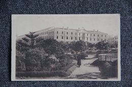 ORAN - Le Lycée Et Les Nouveaux Jardins - Oran