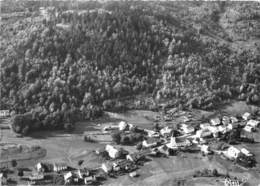 88-LE MENIS-THILLOT- VUE GENERALE AERIENNE LE CENTRE DU VILLAGE - Le Thillot