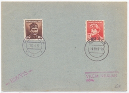 Tchecoslovaquie Carte Postale Avec Cachet Provisoir De La Liberation Havran - Brieven En Documenten