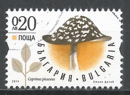 Bulgaria 2014. Scott #4662 (U) Mushroom, Coprinus Picaceus - Oblitérés