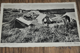 780- Nes (Ameland), Familiekamp - 1947 - Ameland