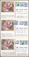 5 Db 2 Klf (virágos) Képes Jugoszláv Levelezőlap - Sonstige & Ohne Zuordnung