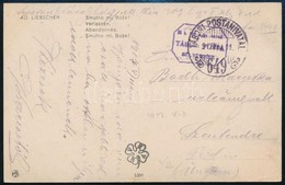 1917 Tábori Posta Képeslap 'TP 649' + 'M. KIR. GYALOG EZRED / TÁBORI POSTA' - Autres & Non Classés