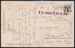 1917 Tábori Posta Képeslap 'M. Kir. Budapesti 30 Népf. Gy. Ezred' + 'K.u.K. FELDPOSTAMT 557a' - Other & Unclassified