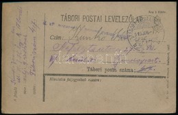 1918 Tábori Posta Levelezőlap  'M.kir. Budapesti 1. Honvéd Gyalogezred' + 'TP 417 B' - Other & Unclassified