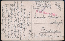 1917 Tábori Posta Képeslap 'S.M. Boot 79' - Other & Unclassified