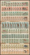 ** 1953 Erdei állatok 10 Db Teljes Sor (40.000) - Andere & Zonder Classificatie