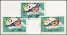 ** O 1961 Madarak 60f  Szürke Szín Hiánya Postatiszta és Pecsételt + Támpéldány (6000) - Autres & Non Classés