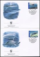 2006 WWF: Bálnák Sor 2 értéke 2 FDC-n Mi 2679-2680 - Altri & Non Classificati