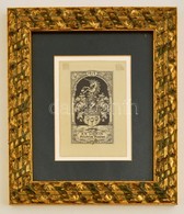 1913 Hinzmann Jelzéssel: Címeres Ex Libris. Fametszet. Üvegezett Keretben. Keret Mérete: 23x26 Cm - Prenten & Gravure