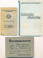 1933 Érdekes Igazolványok: Testnevelési Ellenőrzőlap Egyetemi Hallgató Részére. Fényképes. + KISOK Igazolvány + Üzemi Pá - Zonder Classificatie