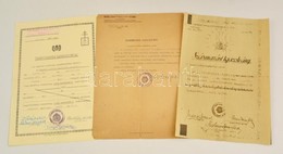 1940-1944 3 Db Származási Igazolvány + 1 Db Belépési Nyilatkozat - Zonder Classificatie
