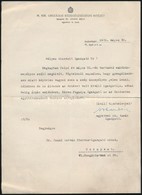 1931 Dr. Johann Béla (1889-1983) A Közegészségügyi Intézet Igazgatója által Saját Kézzel Aláírt Levél, Melyben Betegsége - Unclassified