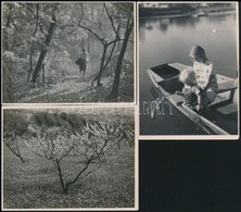 Dulovits Jenő (1903-1972) Budapesti Fotóművész Hagyatékából 3 Db Pecséttel Jelzett Vintage Fotó, 9x12 Cm - Altri & Non Classificati