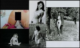 Cca 1980 Szolidan Erotikus Felvételek, 8 Db Vintage Negatív (24x36 Mm és 6x6 Cm) + 7 Db Mai Nagyítás (9x13 Cm és 25x18 C - Andere & Zonder Classificatie