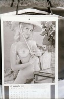 Akt és Pornó Reprók Vegyesen, Az 1960-as és 1970-es évekből, 87 Db Negatív, 24x36 Mm - Andere & Zonder Classificatie