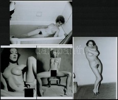 Cca 1978 A Fiatalság Szépsége, Szolidan Erotikus Felvételek, 4 Db Vintage Negatív (6x6 Cm), + 7 Db Mai Nagyítás (18x25 C - Andere & Zonder Classificatie