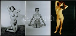 Cca 1979 Szolidan Erotikus Felvételek Véletlenszerű Találkozása Egy Tételben, 8 Db Vintage Negatív (6x6 Cm), + 7 Db Mai  - Andere & Zonder Classificatie