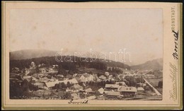 Cca 1890 Borszék Látképe, Keményhátú Fotó Heinrich Adleff Műterméből, 11×6,5 Cm / Borsec, Bad Borseck, Romania - Altri & Non Classificati