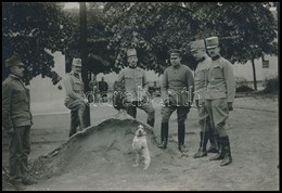 Cca 1914-1918 Osztrák-magyar és Német Tisztek Kutyával, Fotó, 11,5×17 Cm - Andere & Zonder Classificatie