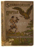 1907 Sanatorium Naptár. Bp., József Királyi Herceg Sanatorium Egyesület. Kiadói Festett, Aranyozott, Dombornyomott, Illu - Unclassified