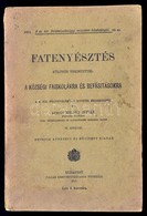 Rudinai Molnár István: A Fatenyésztés. Különös Tekintettel A Községi Faiskolákra és Befásításokra. A M. Kir. Földmivelés - Non Classés