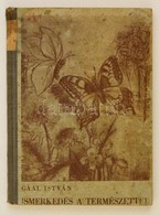 Gál István: Ismerkedés A Természettel. Maderspach Viola Rajzaival. Bp., 1941. KM.E.NY. Kiadói Félvászon Kötésben - Non Classificati