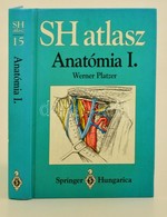 Werner Platzer: SH Atlasz. Anatómia I. Kötet. Bp.,1996, Springer. Kiadói Kartonált Papírkötés. - Unclassified