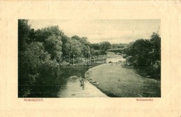 T3 Borosjenő, Ineu; Körös Folyó Partja, Mosónők. W. L. Bp. 5261. / Cris Riverbank, Washerwomen (ázott Sarok / Wet Corner - Zonder Classificatie