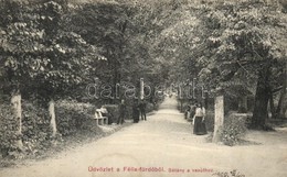 T3 1908 Félixfürdő, Baile Felix; Sétány A Vasúthoz / Promenade To The Railway Statiton (lyuk / Pinhole) - Zonder Classificatie