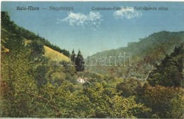 T2/T3 1907 Nagybánya, Baia-Mare; Fokhagymás Völgy, Rosenstein Könyvkereskedés Kiadása / Valley (EK) - Zonder Classificatie