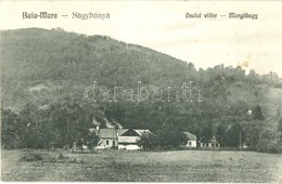 T3 Nagybánya, Baia Mare; Dealul Viilor / Morgóhegy, Krizsanovszky Könyvkereskedés Kiadása / Mountain - Zonder Classificatie