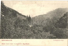 * T4 1907 Nagybánya, Baia-Mare; Fokhagymás Völgy, Kiadja Kovács Gyula / Valley (vágott / Cut) - Zonder Classificatie