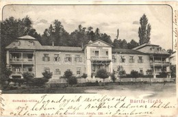 T2 1903 Bártfa, Bártfafürdő, Bardejovské Kúpele, Bardejov; Schedel Villa. Kiadja Divald Adolf 136. / Villa - Zonder Classificatie