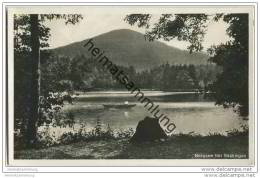 Säckingen - Bergsee - Foto-AK - Bad Saeckingen