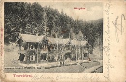 T3 1905 Thurzófüred, Kupele Turzo (Gölnicbánya, Gelnica); Bányász / Villa (fa) - Zonder Classificatie