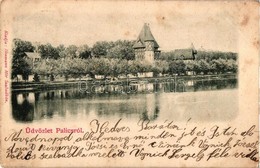 T2/T3 Palics, Palic; Korzó Részlet, Kiadja Heumann Mór / Corso, Lake (fl) - Non Classés