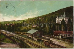 * T2/T3 Savanyúkút, Sauerbrunn; Vasútállomás, Hartig Villa, Kiadja M. Stelzmüller / Railway Station, Villa, (fl) - Non Classés