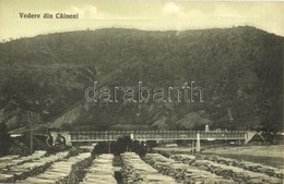 ** T2 Caineni, Fűrésztelepi Vasúti Híd. Norbert Gust. Schoger Photograph / Sawmill With Railway Bridge - Unclassified