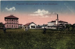 T2 Pragersko, Franz Steinklauber Tonwarenfabrik / Earthenware Factory, Amalie Churfürst - Zonder Classificatie