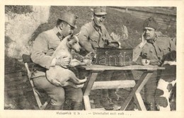 ** T2 Mulassatok Ti Is! Osztrák-magyar Katonák Kutyával és Gramofonnal / Unterhaltet Auch Euch / WWI Austro-Hungarian K. - Ohne Zuordnung