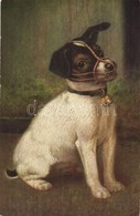 T2/T3 Der Erste Maulkorb / Dog With Muzzle, Art Postcard, Meistergalerie No. 4903. S: A. Weczerzik (EK) - Zonder Classificatie