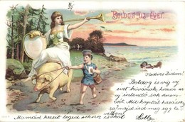 T2 1902 Boldog új évet / New Year Greeting Postcard, Pig, Litho - Unclassified