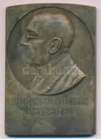 Ausztria DN 'Ignaz Seipel - Szövetségi Kancellár' Br Emlékplakett (52x75mm) T:2,2- Patina,ph.
Austria ND 'Ignaz Seipel - - Ohne Zuordnung