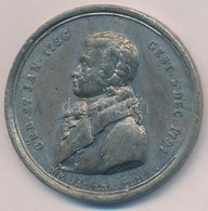 Ausztria DN 'Mozart / Szülőháza Salzburgban' Zn Emlékérem (38mm) T:2,2-
Austria ND 'Mozart / Mozart's Birthplace In Salz - Unclassified