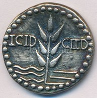 Olaszország 1995. 'ICID-CIID / Róma' Jelzett Ag Emlékérem (13,5g/29mm) T:2
Italy 1995. 'ICID-CIID / Rome' Hallmarked Ag  - Unclassified
