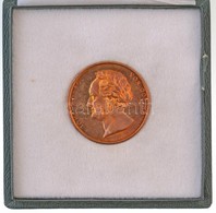 Német Birodalom / Frankfurt ~1900. 'Goethe / 1826' Br Emlékérem Dísztokban. Szign.: LOOS - KÖNIG (43mm) T:2 Ph. 
German  - Zonder Classificatie