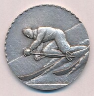 Franciaország 1962. 'Párizsi Síbajnokság' Ezüstözött Br Díjérem, Eredeti Tokban (50mm) T:1-
France 1962. 'Paris Ski Cham - Ohne Zuordnung