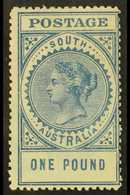 SOUTH AUSTRALIA 1904-11 £1 Blue Perf 12½, SG 292a, Fine Mint, Very Fresh. For More Images, Please Visit Http://www.sanda - Other & Unclassified